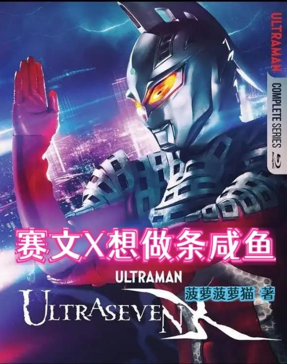 商务休闲中筒男袜