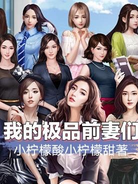 我的极品前妻们小说免费阅读