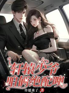 男主轩辕绝