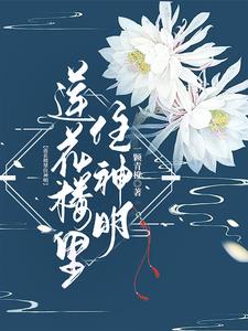 莲花楼里那个小孩是谁