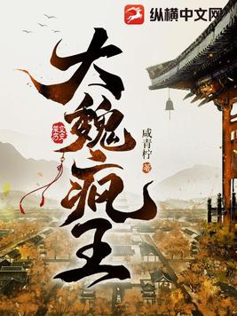 大魏疯王宁王结局