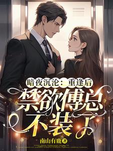 小说主人公傅夜沉
